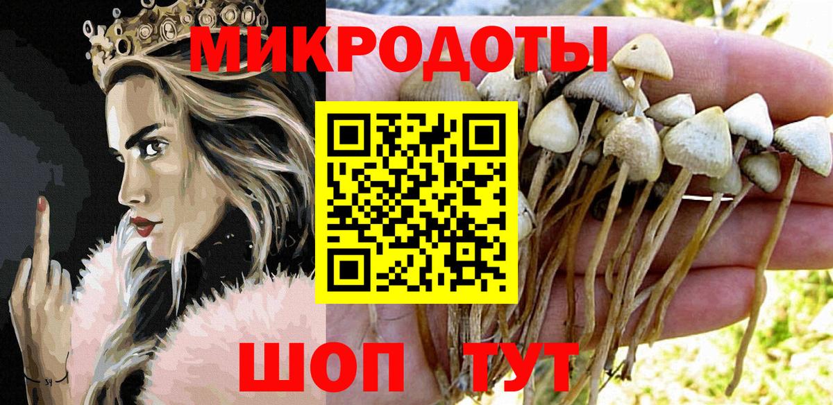 Галлюциногенные грибы Magic Shrooms Ковров
